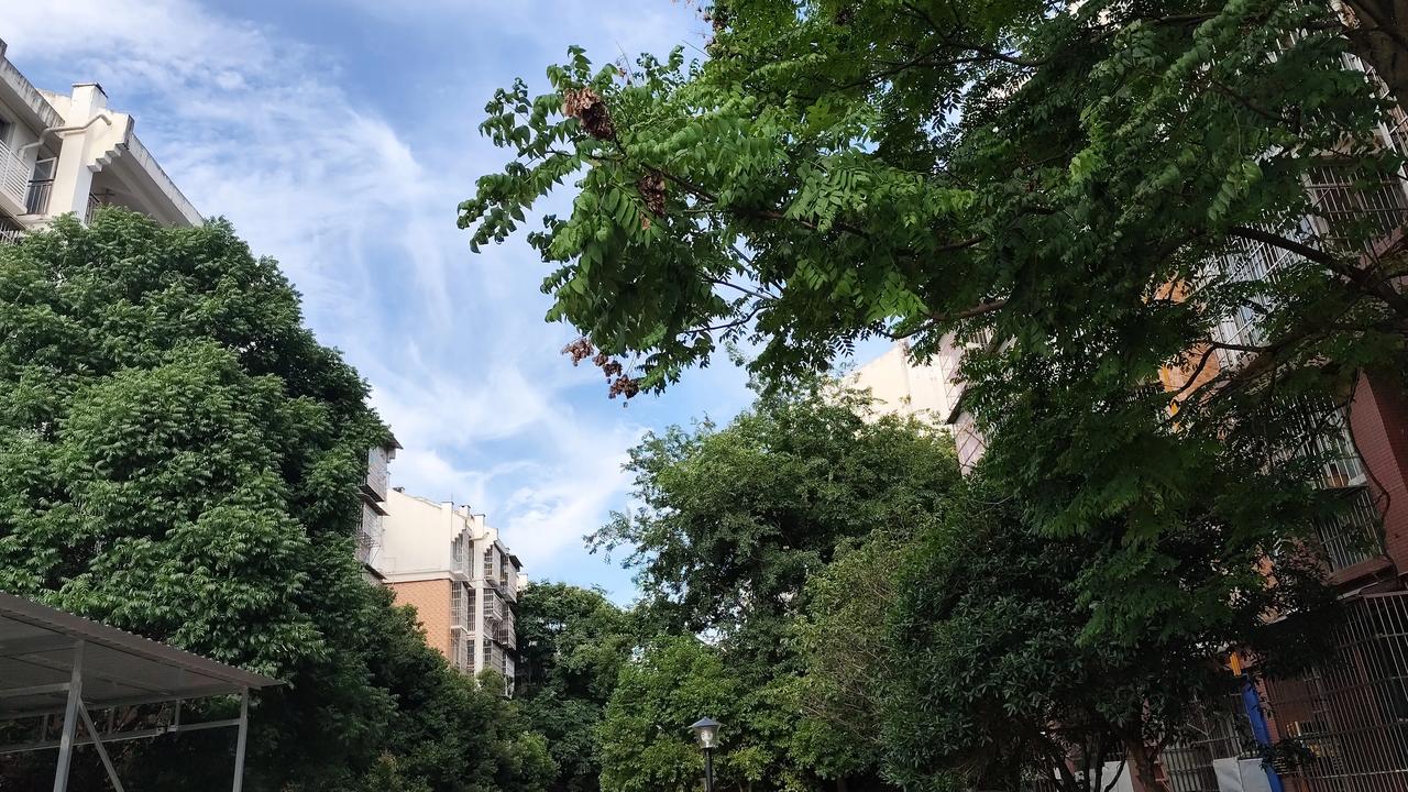 夏日生活打卡季夏日限定风景欣赏分享自然风景照片