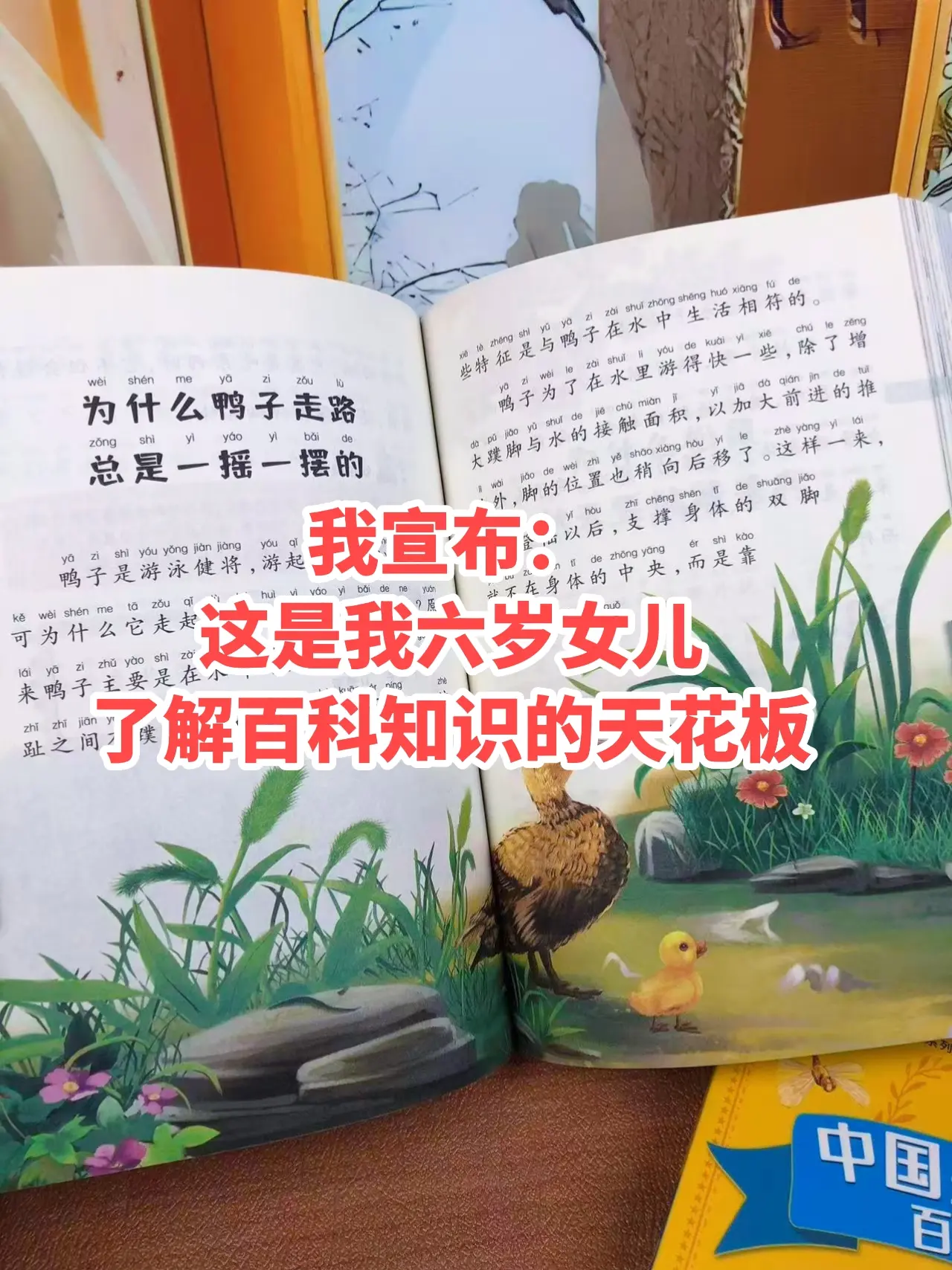 这套《少儿百科全书》和《十万个为什么》，寒假给孩子安排起来。