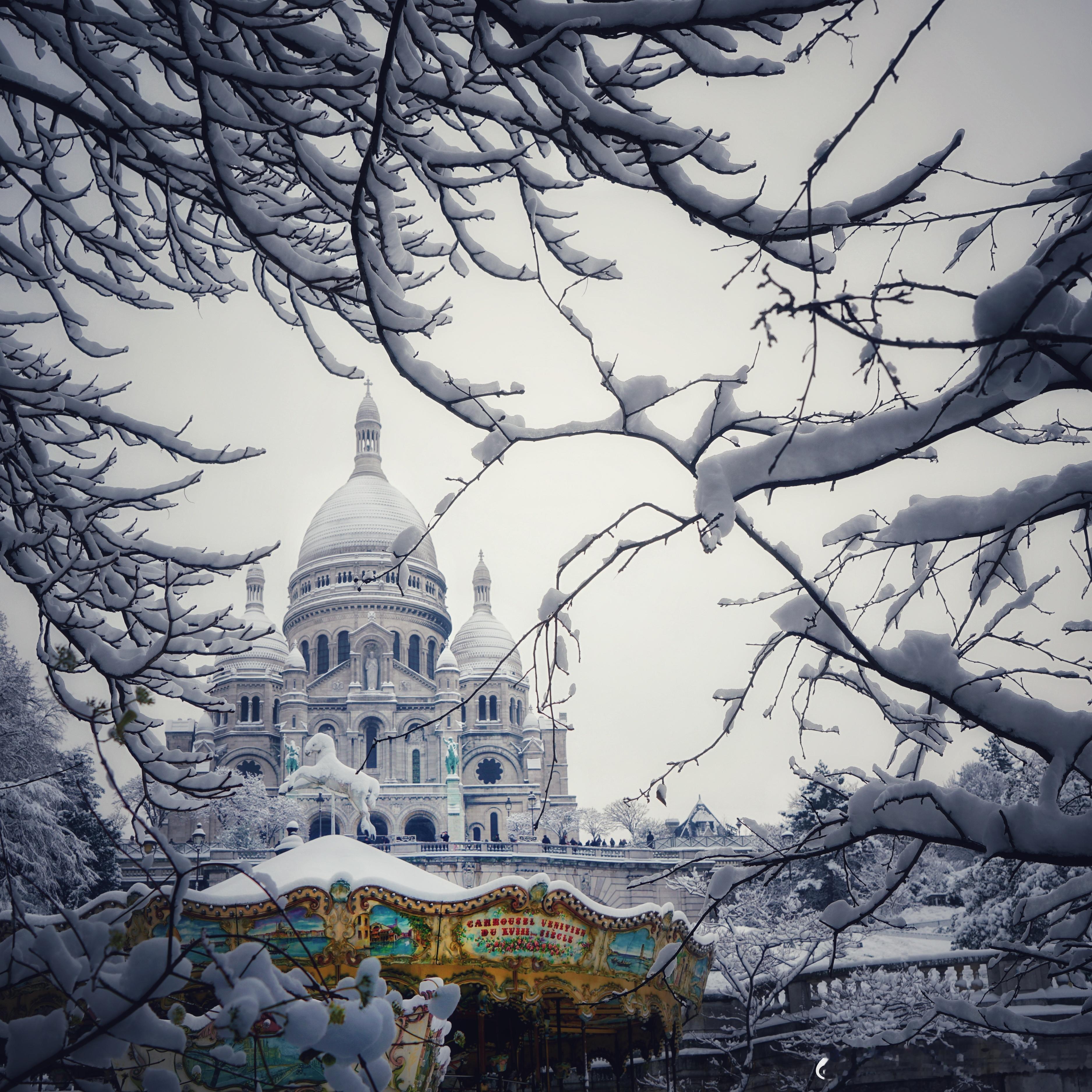 今天巴黎下雪了，别看巴黎的纬度和齐齐哈尔几乎在一条线上，但气候是完全不一样，一到