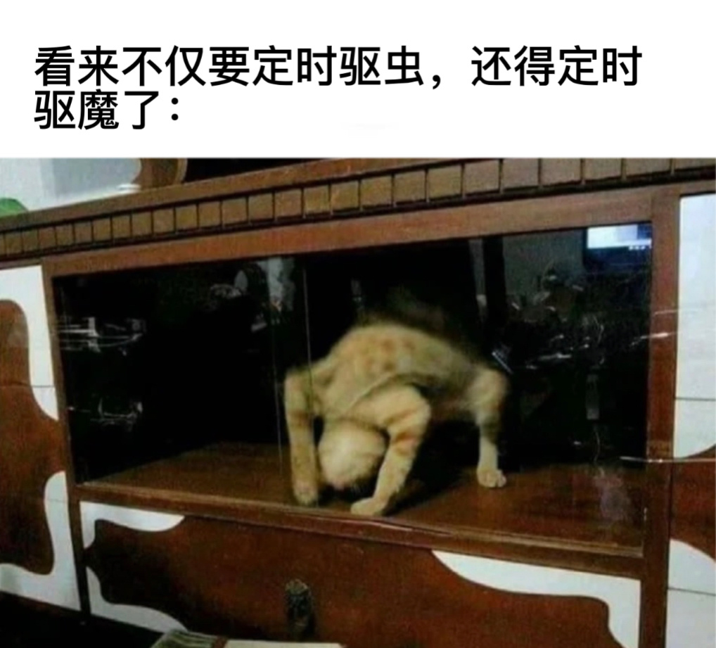 经典镜头#今日memes# //#春日cityhappy计划# ​​​