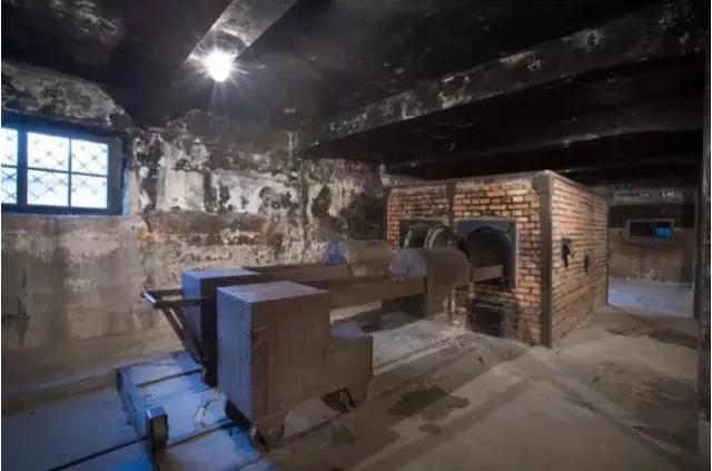 历史上的今天，公元1945年1月27日，苏联红军解放了奥斯维辛集中营，当时集中营