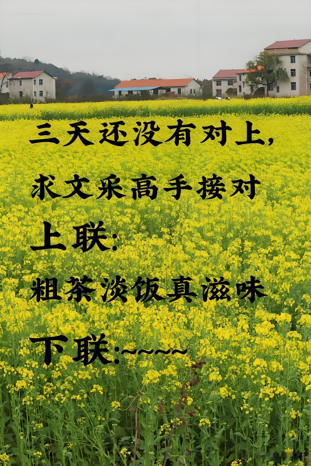 三天还没有对上对联 

求文采高手接对联 

上联：粗茶淡饭真滋味

下联：…？