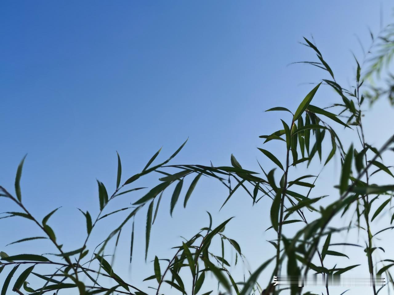 哪些行为可能会出卖个人信息：

容易泄露个人信息的常见行为（线上+线下整理）
 