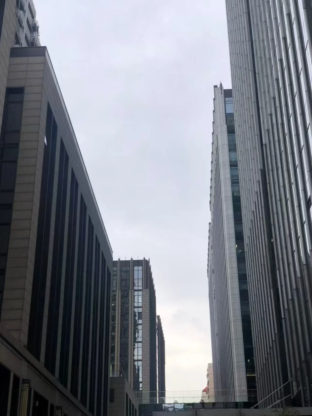 最好的恋爱关系：男生家境好，女生不缺爱