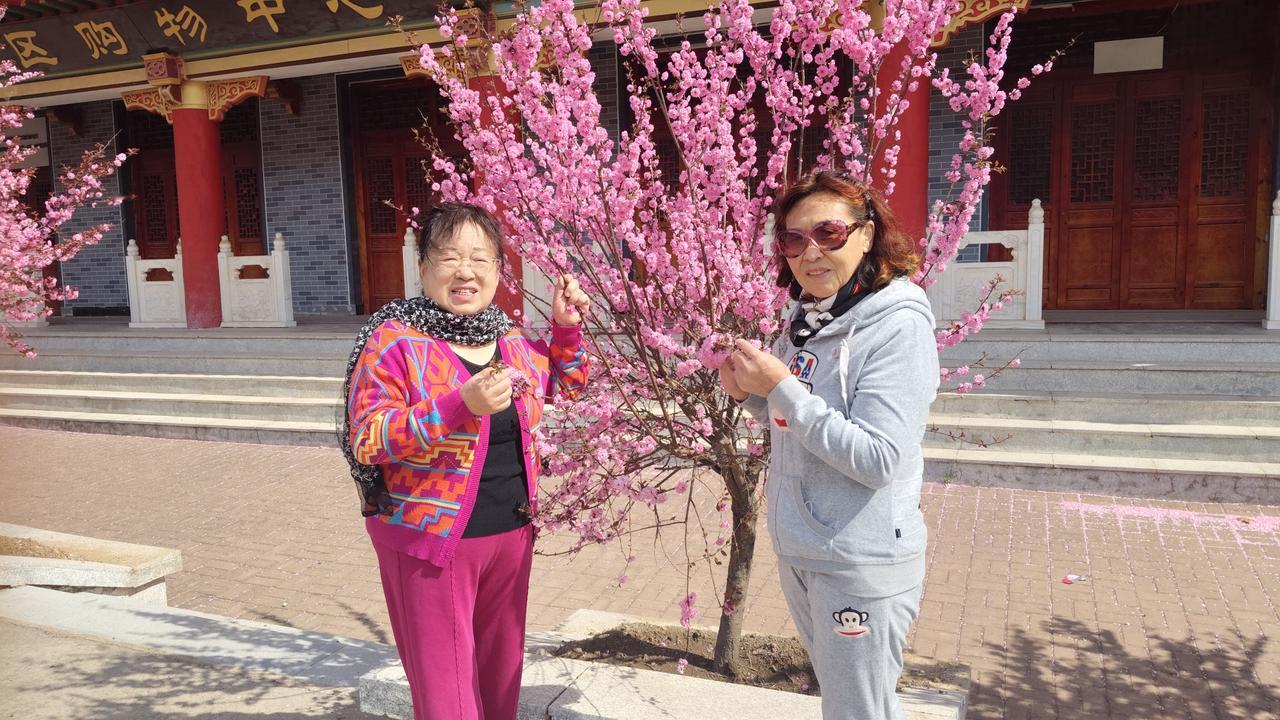 树绿花红 ，春天气息扑面而来，让我们感觉到大自然的美景无处不在，心情愉悦，拍了几