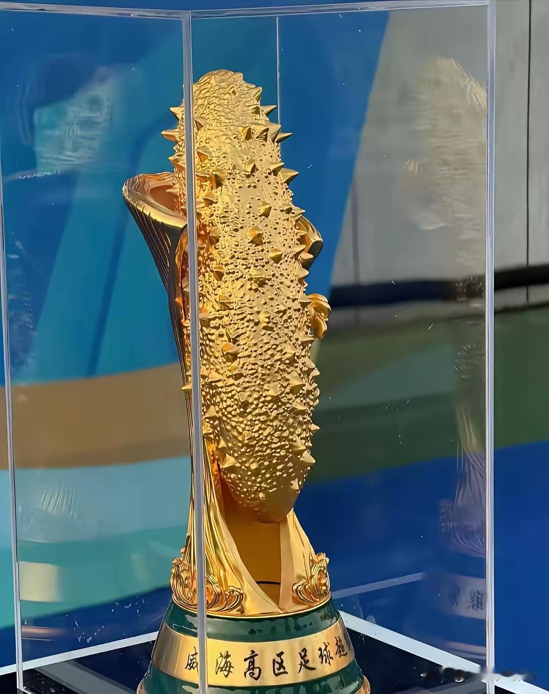 哈哈，看网友转发威海高区超级足球联赛的奖杯设计，真有创意！

海参本是好食材，3