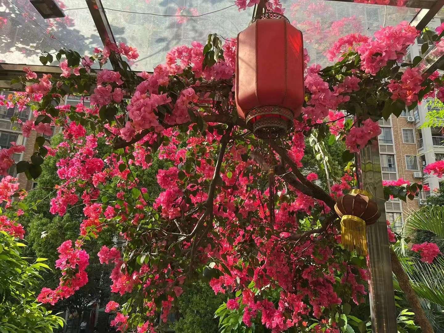 天快亮时梦见一男子在街头被城管追，看他鬓角斑白我确实没认出来，我操起扁担打了城管