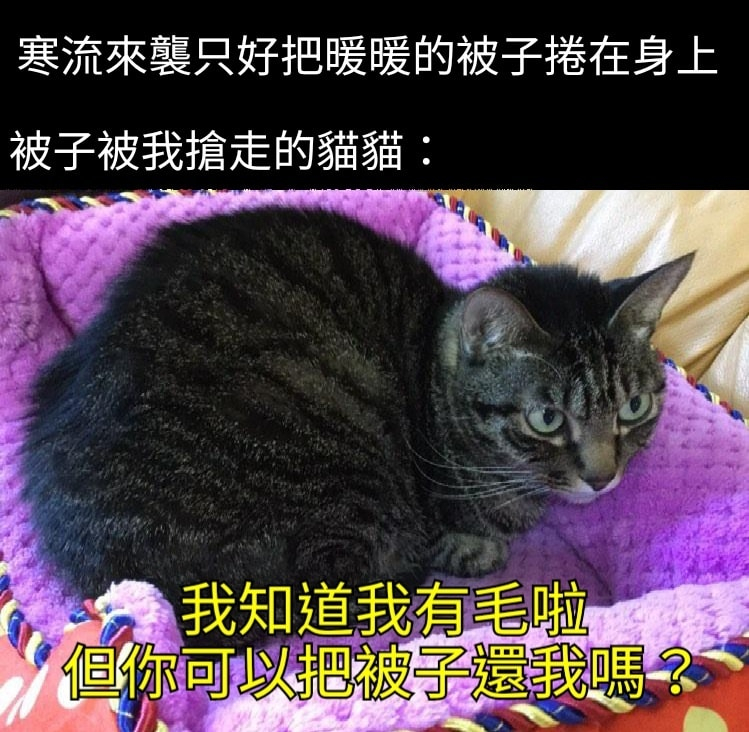 在…躲猫猫吗？ 