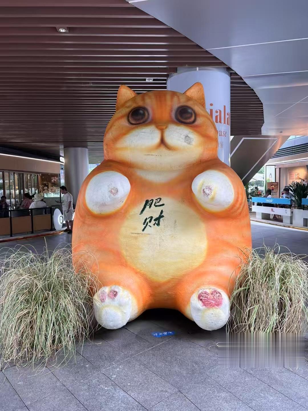 肥财💰 旺财💰 八方来财💰。