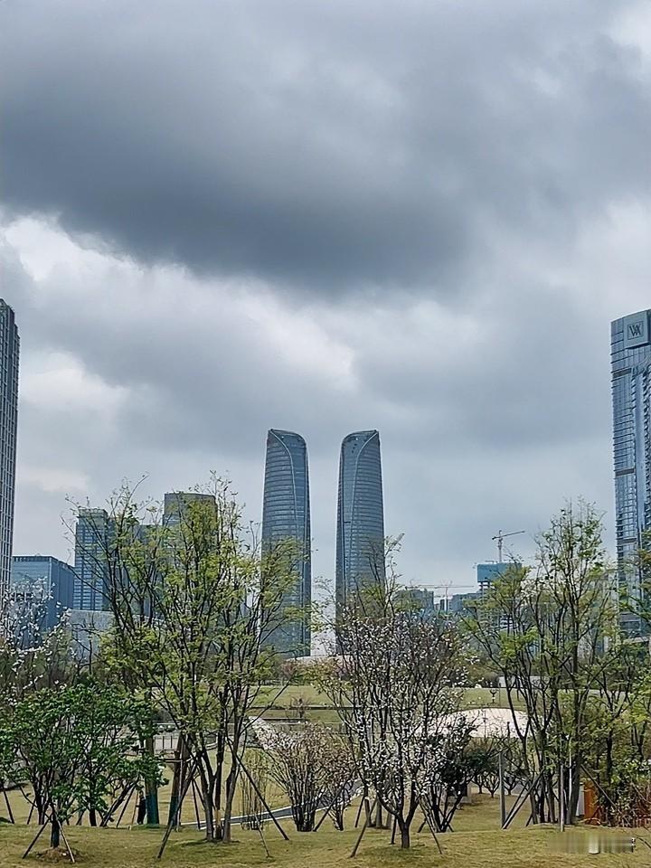 如果说成都未来的中心是交子公园，那按照成都传统的“东穷西贵南富北乱”的城市格局，