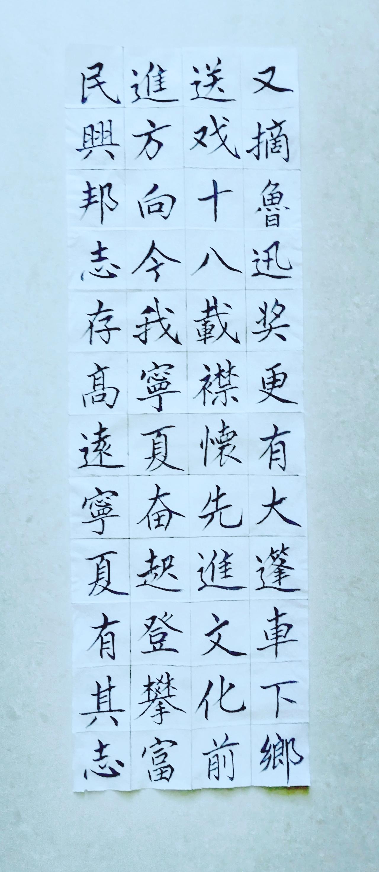 第九十二天《宁夏赋》（15）正楷毛笔练习