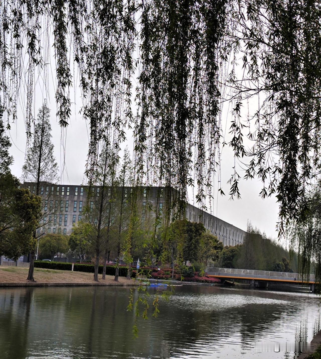 北京足协今天重罚了两支U10球队，原因是两队球员疯狂往自家球门踢球，守门员视而不