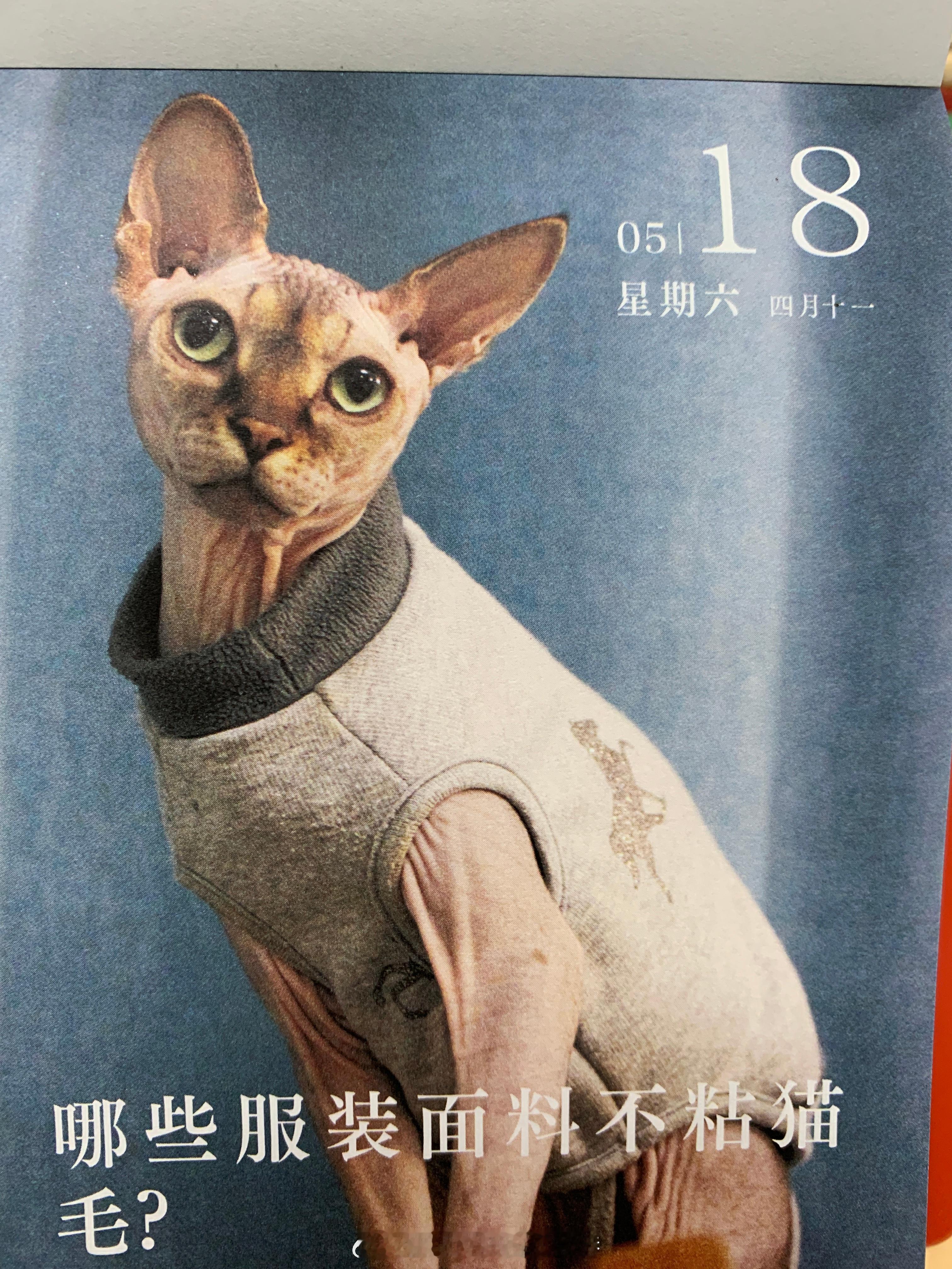 朋友们早上好！ ​​​