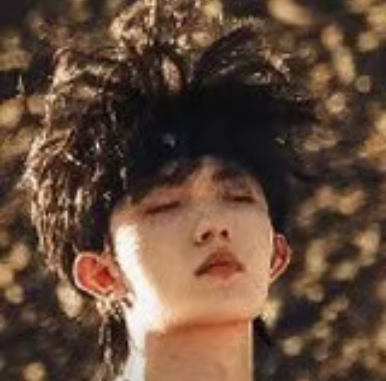 比我更想念蝴蝶起源的是铲爷的其他站姐们🤓（这是铲爷站姐图。 