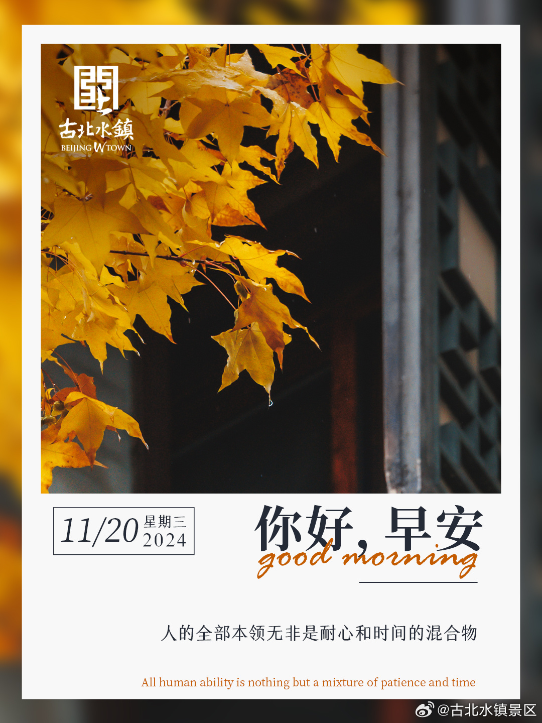人的全部本领无非是耐心和时间的混合物早安，宝子们~#很高兴在古北水镇认识你# #