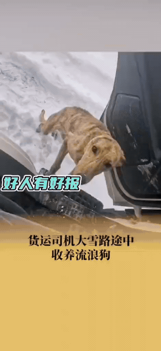 徐先生是个大货车司机，近日，在当天气温零下20的锡林郭勒，他停车准备开门取雪烧水