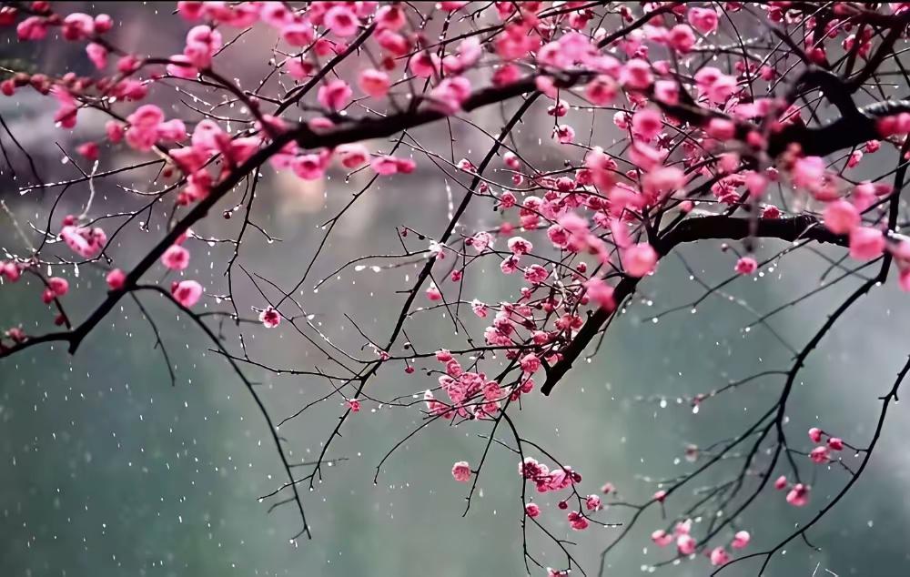 七言诗～守纯真

走进书房远俗尘，
书香陪伴守纯真。
苍天无须问归处，
仍是诗中