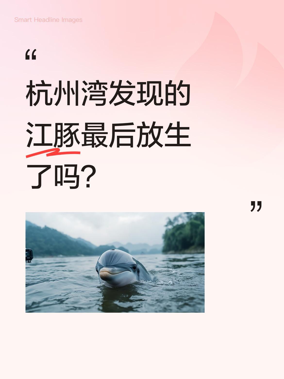 杭州湾发现的江豚最后放生了吗？
有网友在杭州湾水域发现一只国家一级保护动物江豚。