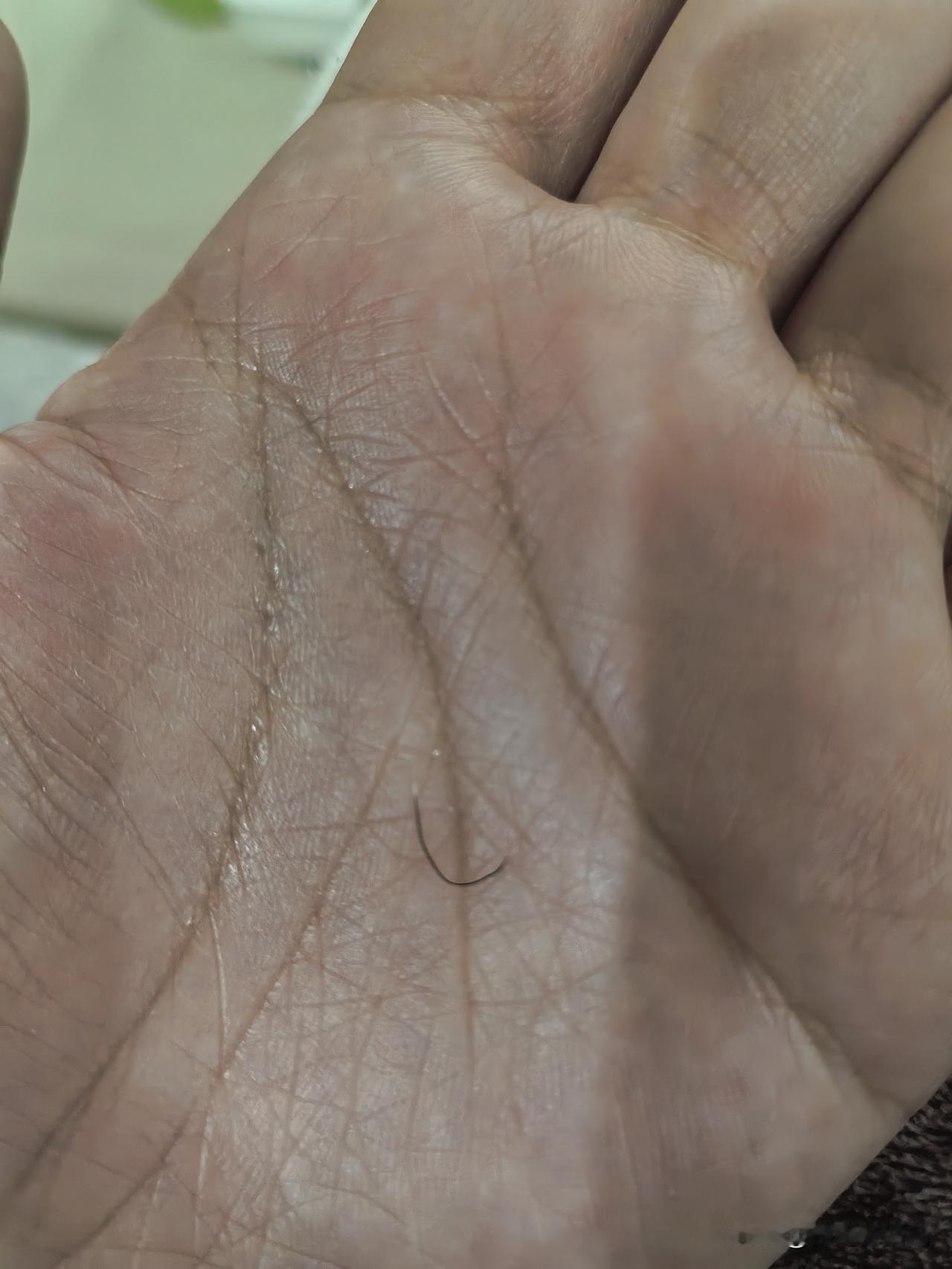 人慢慢变老会有很多的象征，首先眉毛会越来越长，以前是直的，现在变弯了，又长又弯。