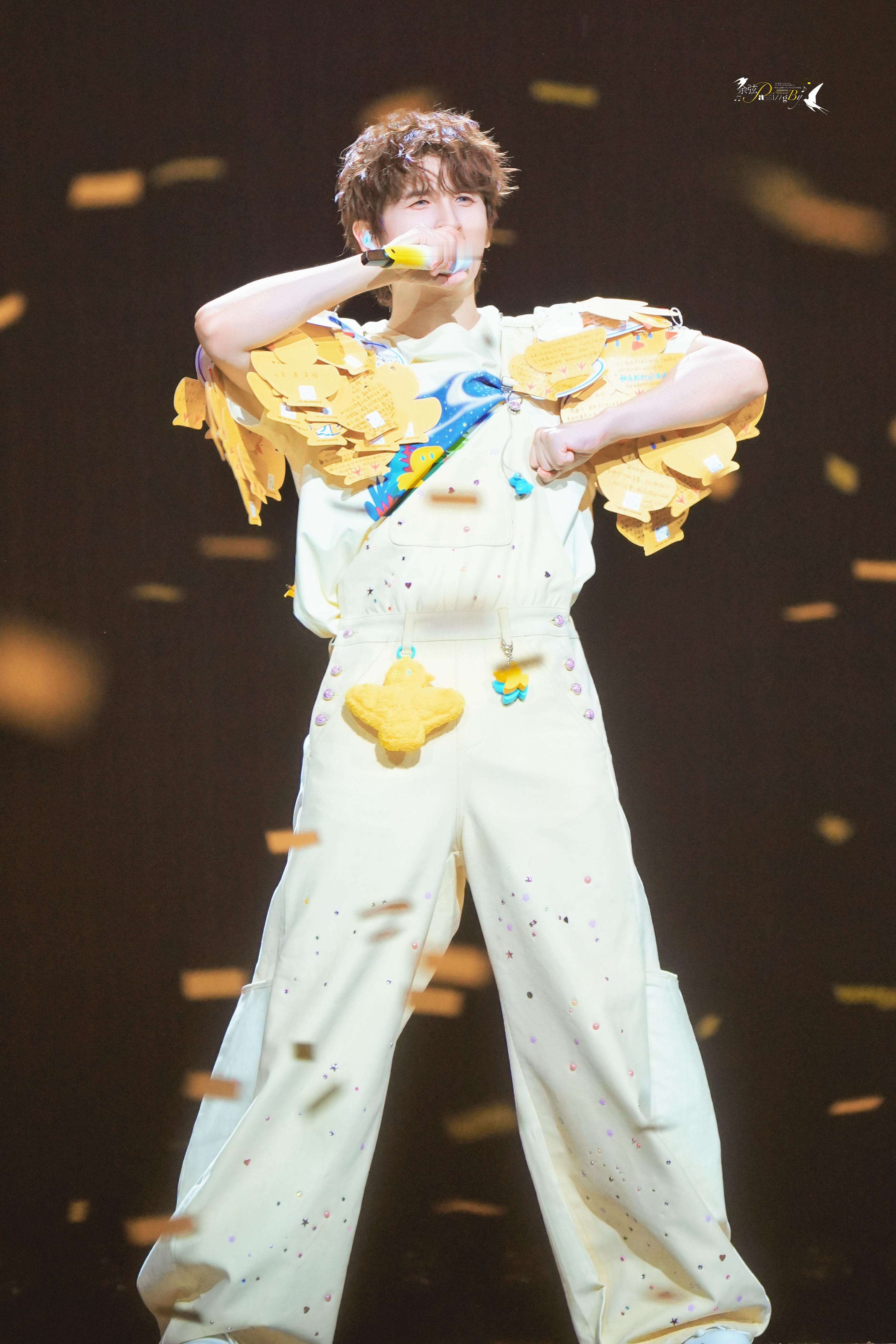 张远  🐦 张远远行巡回演唱会 20260613·深圳·远行巡回演唱会感谢你一