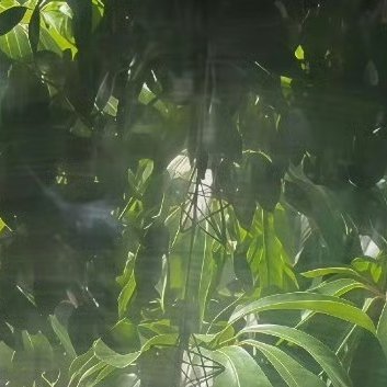 钓水，逸事也，尚持生杀之柄；弈棋，清戏也，且动争战之心。可见喜事不如省事之为适，