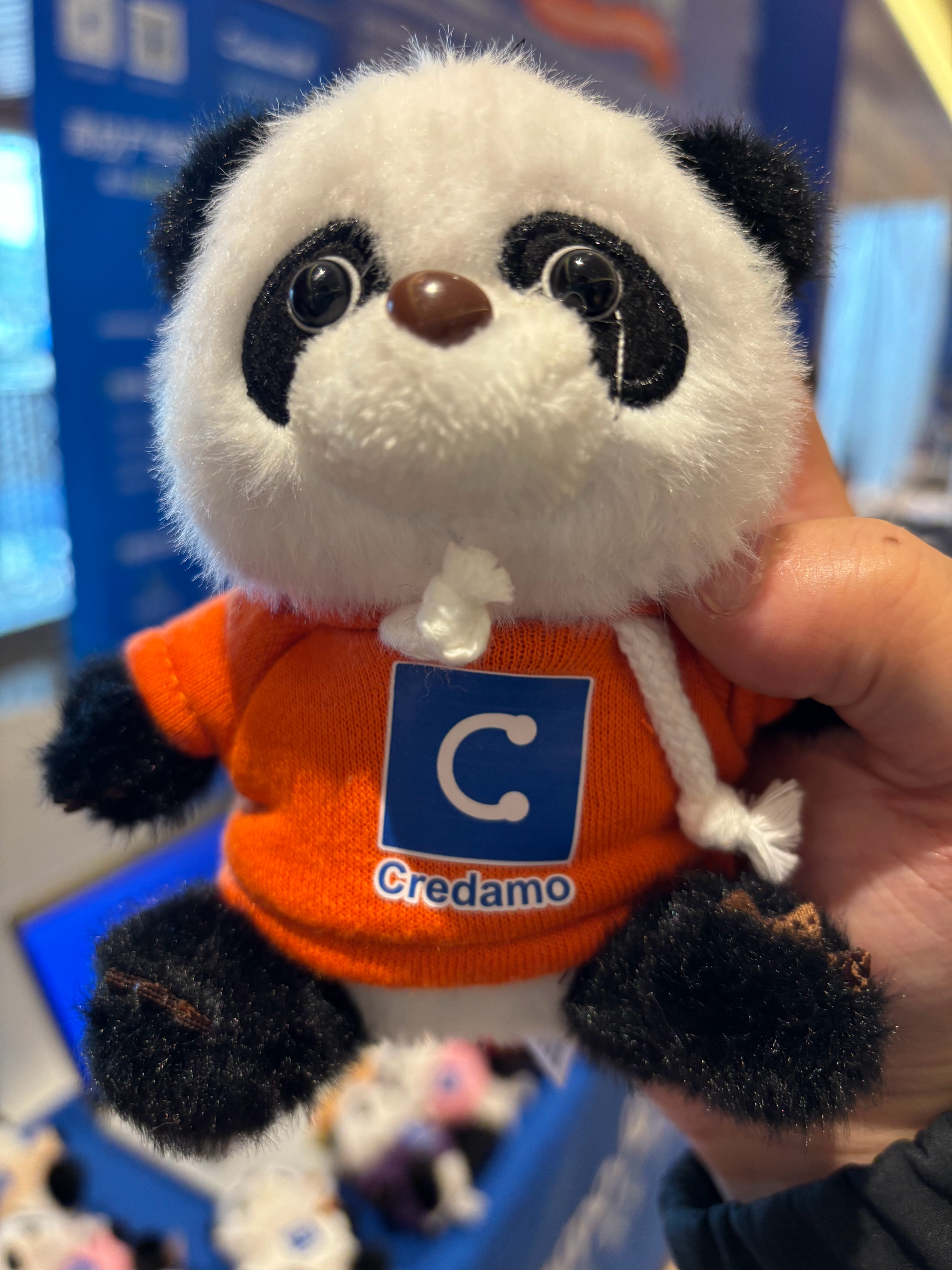 不错不错 小熊很好看 