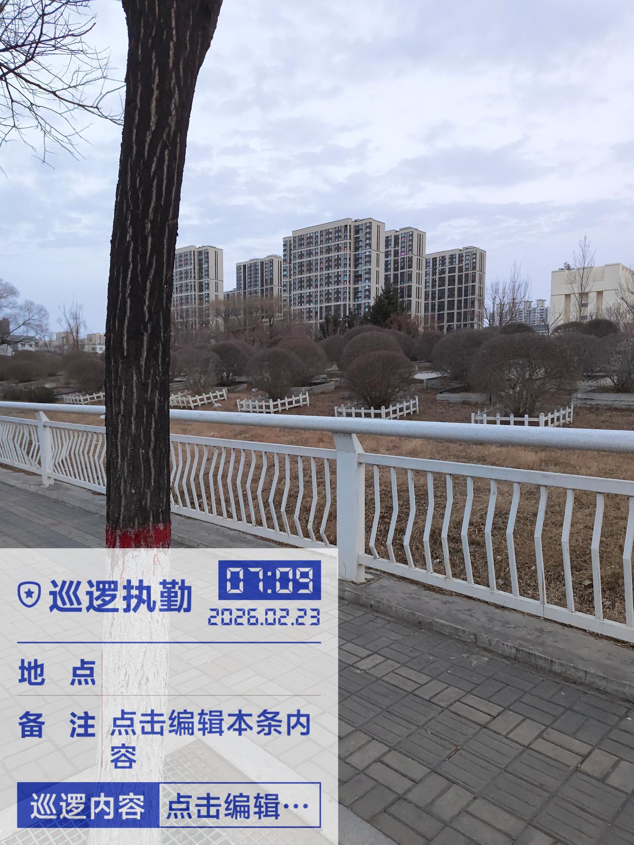 天南地北大拜年上班第二天，一个普通人，过好自己的生活，平静努力，干好工作，看看日