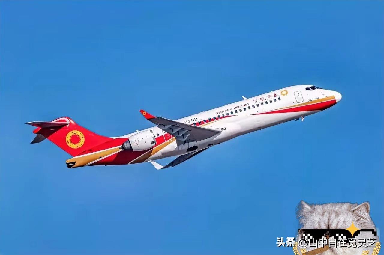 咱家的 C909，在越南飞了半年，租期一到，人家没续，飞机就这么飞回来了，很多人