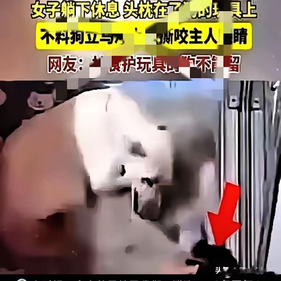 “三秒钟毁掉一生”黑龙江的陶女士加班回到家，疲惫地躺在沙发上，头枕在了自家狗最看