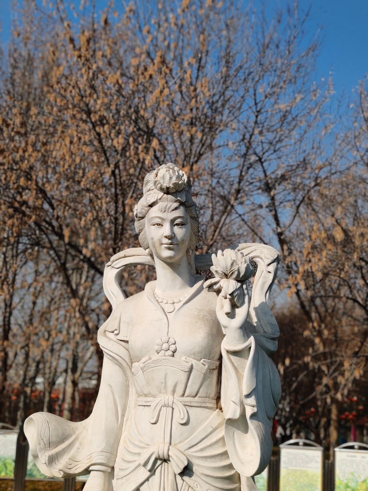 一张图证明冬天来了随手一拍。