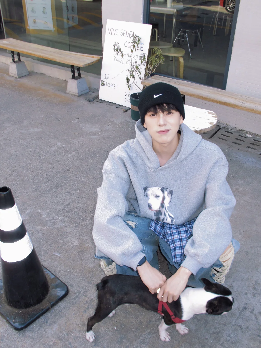 有些小狗一看就知道非常乖