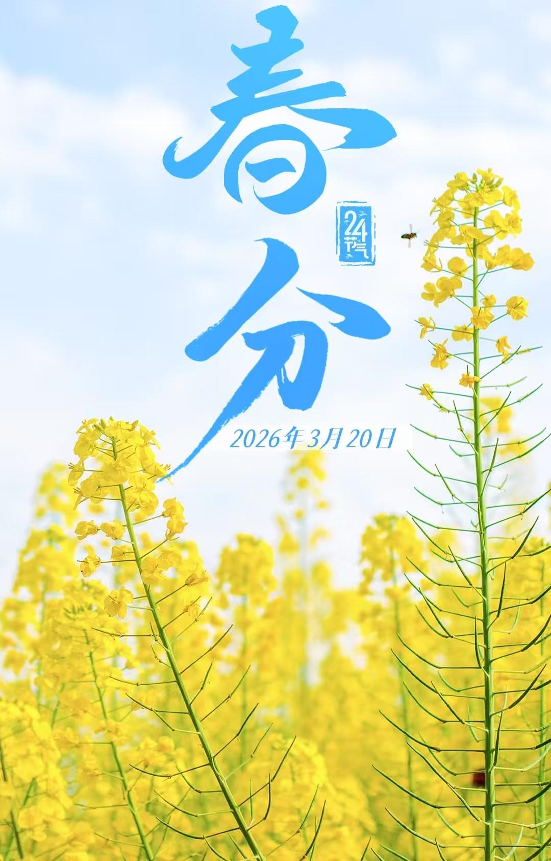 🌿🌸🌿🌸🌿🌸