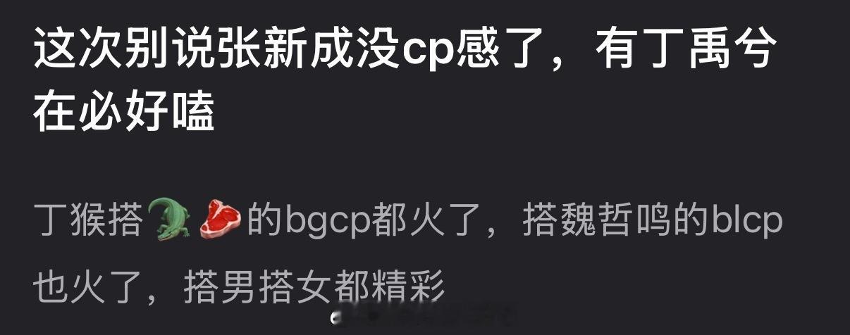 南部档案 这次张新成是不是会有cp感了？丁禹兮cp体质，有好几个大火cp 