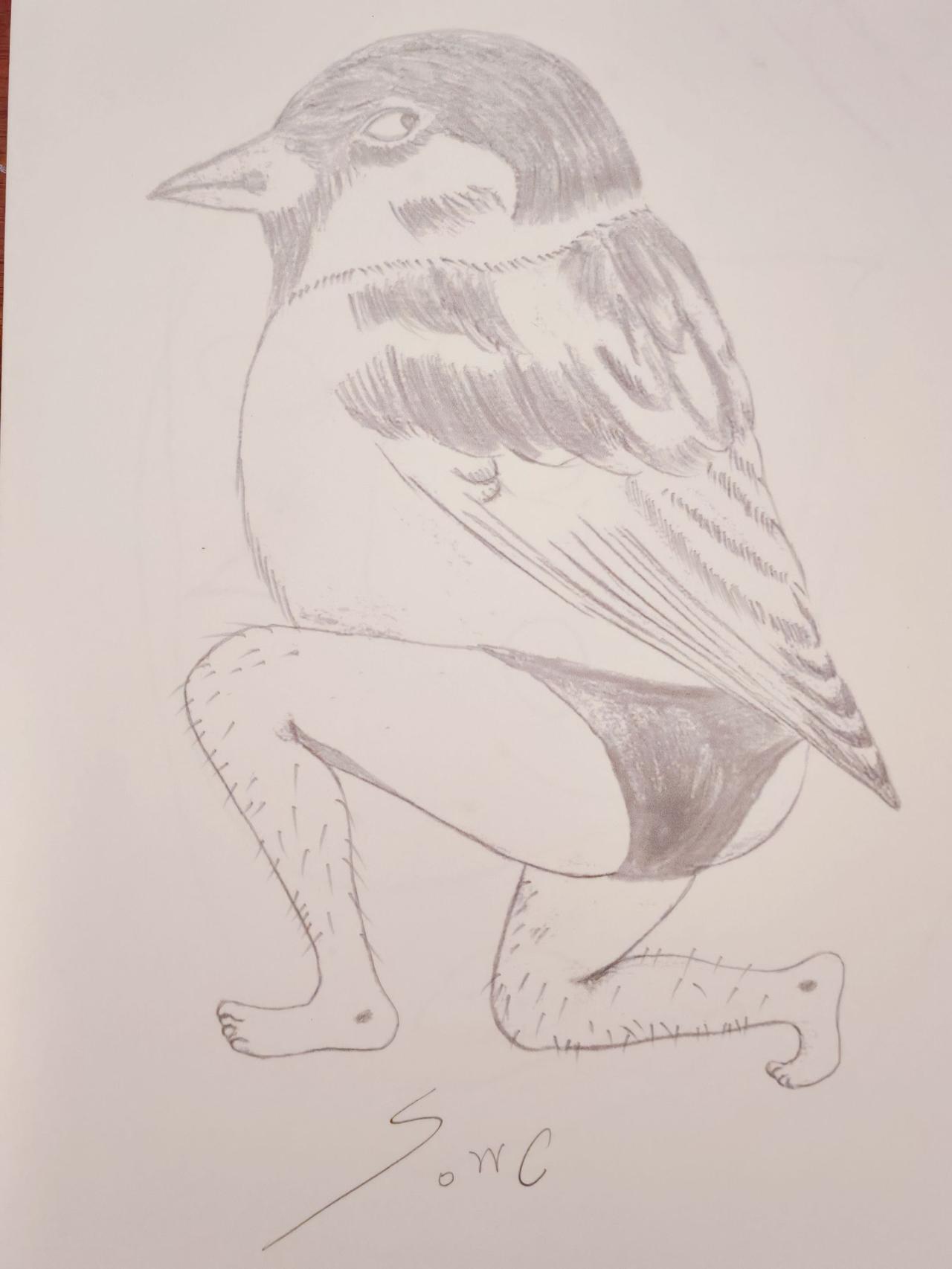 鸟人 
搞笑灵魂画手 简笔画 上热门