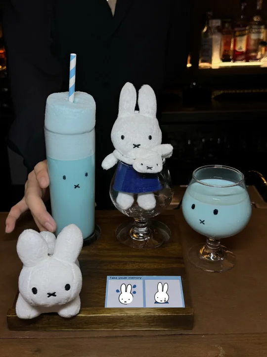 𐙚‧₊° Miffy time ˶ • × • ˶ 🫧 💙✧.