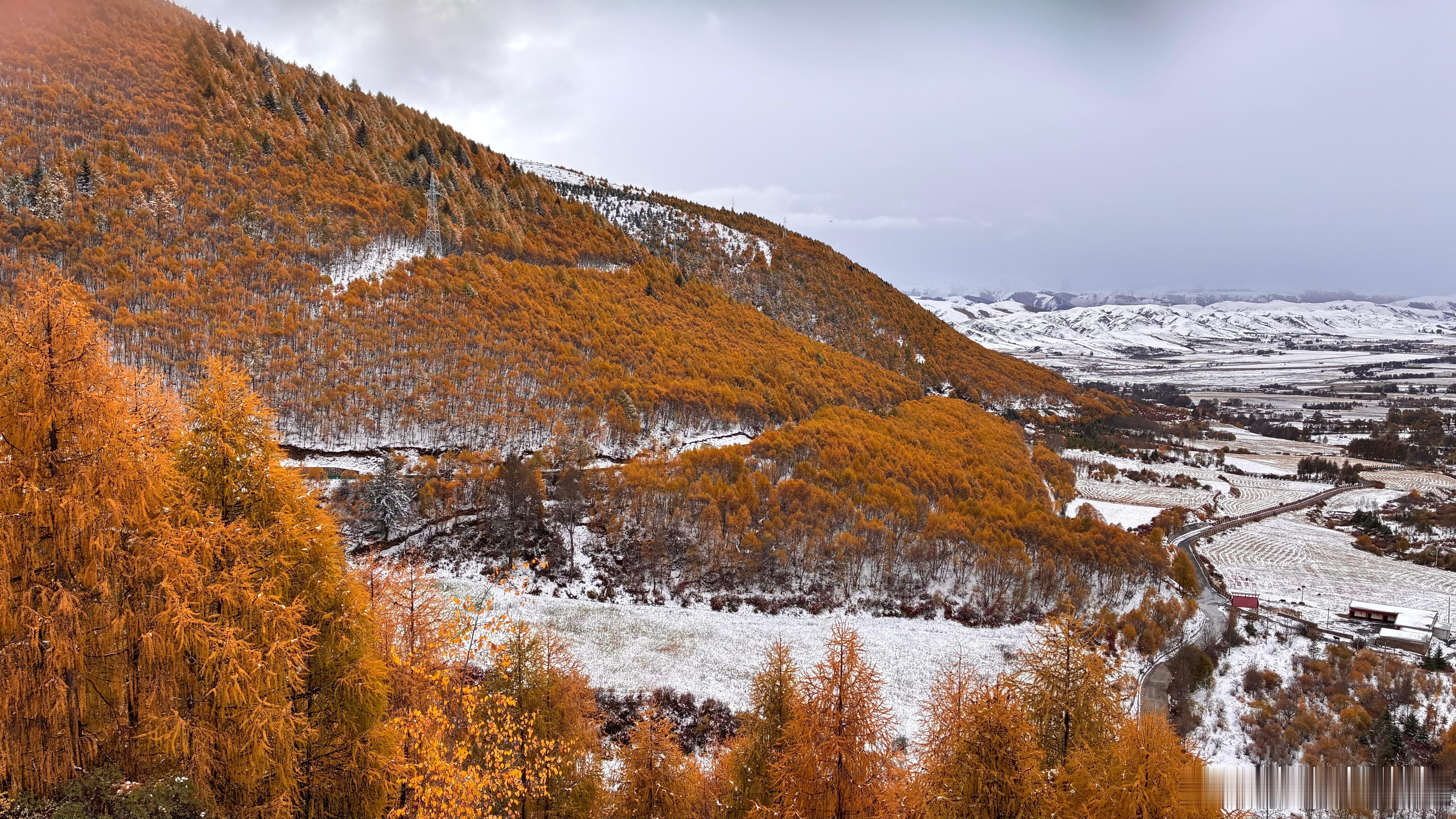 看群友发的今天的川西，好好看啊，想去！[跪了] ​​​