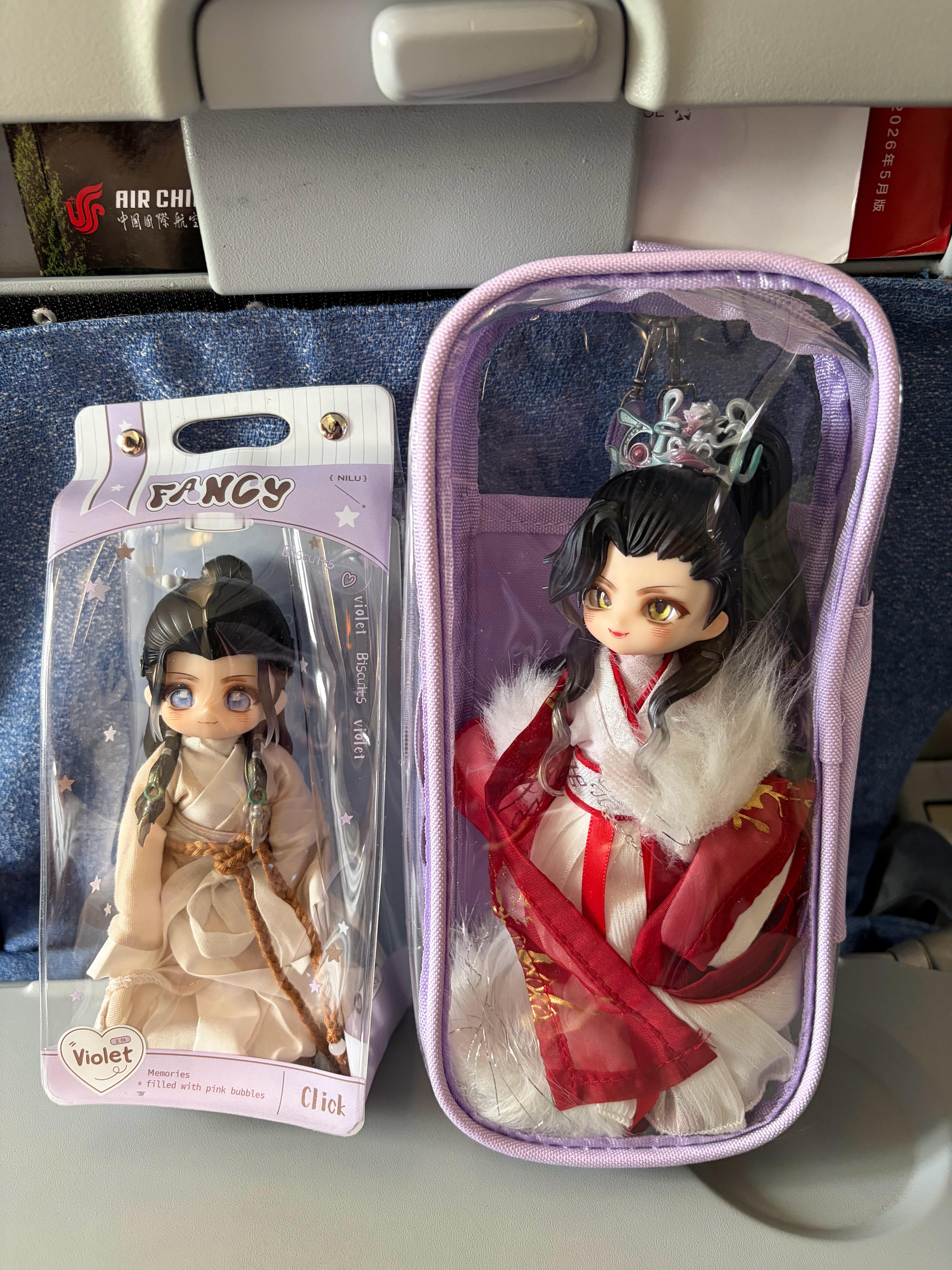 准备飞了[可怜] ​​​