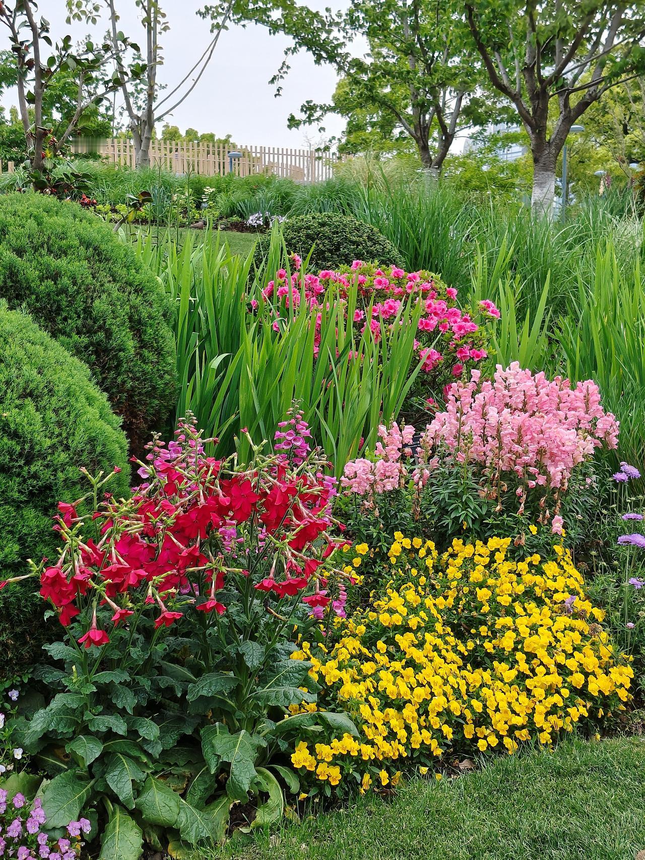 医生自由执业是全世界所有国家解决医疗困境的良方，原理如同农民只有包产到户，才能解