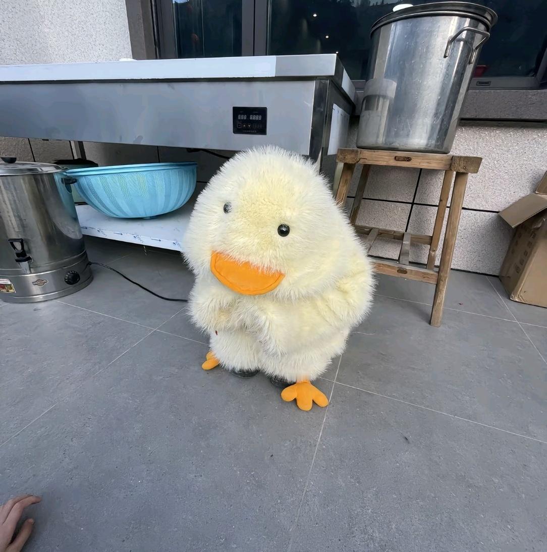 四脚吞金兽具象化了孩子长大再穿自己喜欢的现在你只能穿妈妈喜欢的