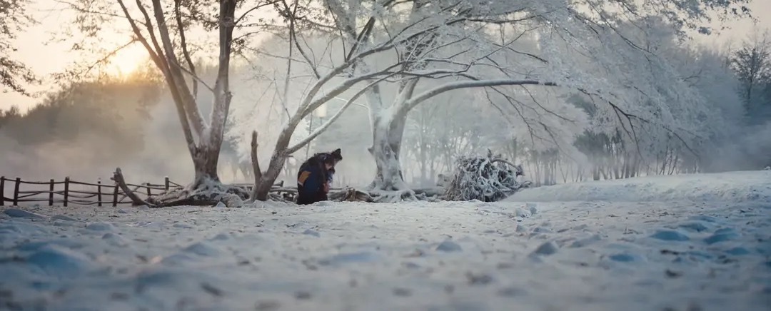 逐玉爆开我没看过原著哈，但是逐玉好多地方都很熟悉，有种拼好剧的感觉，开头捡人这一