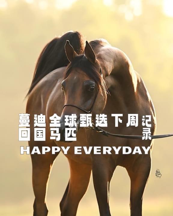 蔓迪全球甄选下周五三匹漂亮妹妹抵达北京！期待吗朋友们！蔓迪全球甄选到底输送了多少