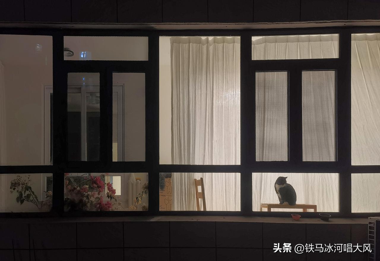 纪实摄影2026-1：《岁月》

【手记】岁月静好，就在普通的一个个家庭里。这是