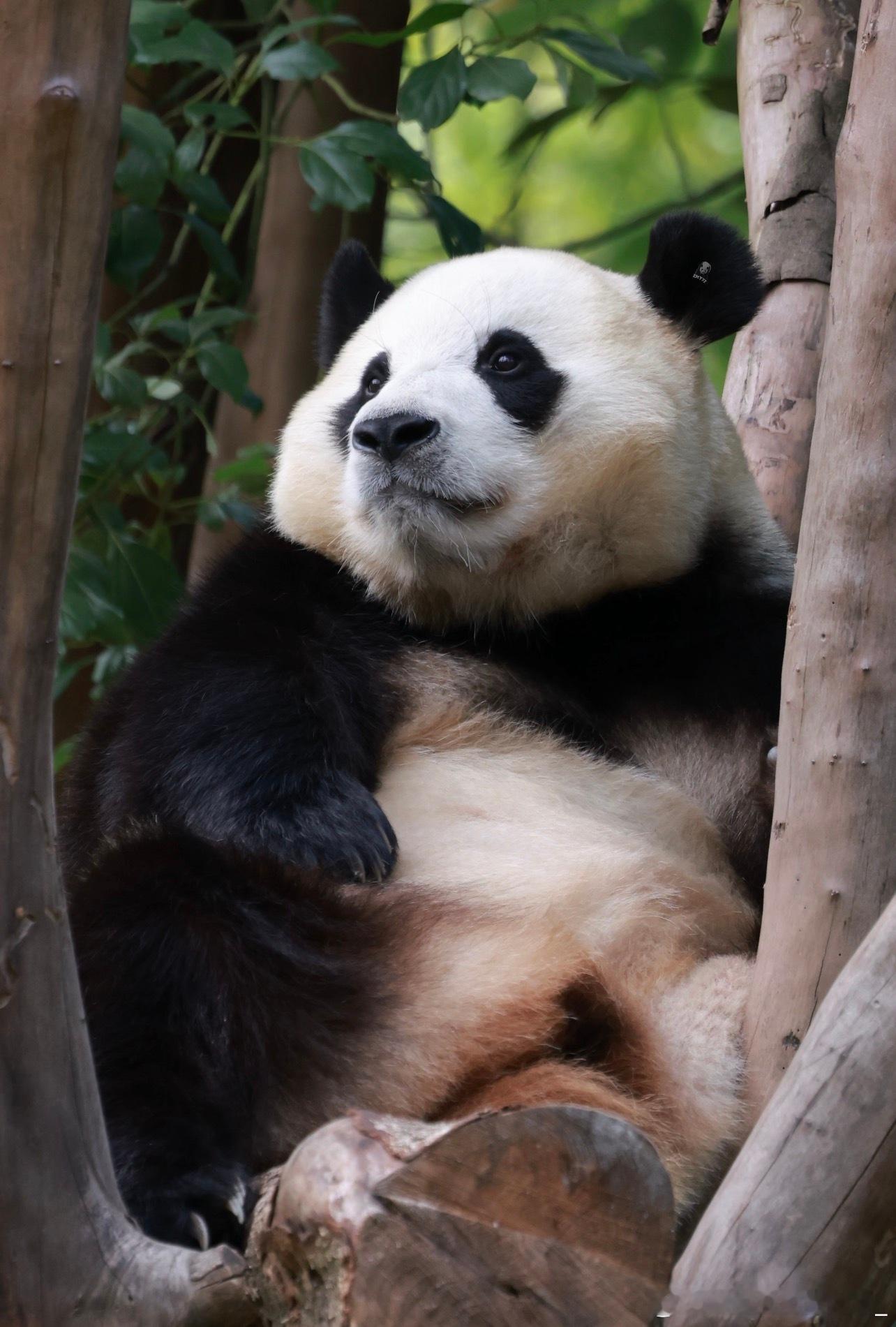 每天早起打卡早上好～ ​​​