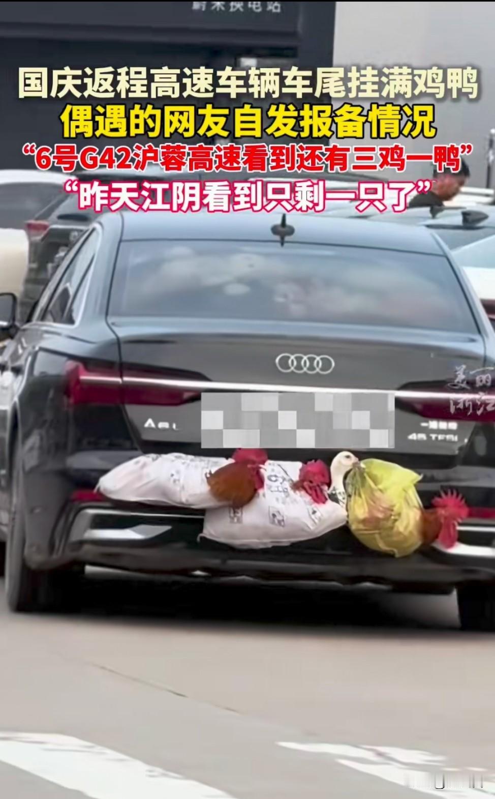 这个画面，相信每个人都不陌生，每年的国庆春节假期，在返程路上，车上装满了各种各样