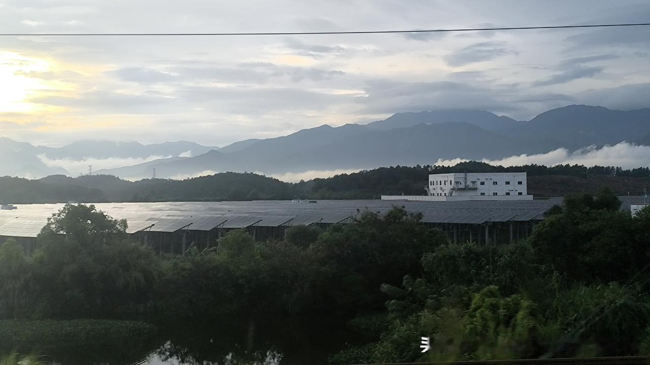 夏日生活打卡季广州