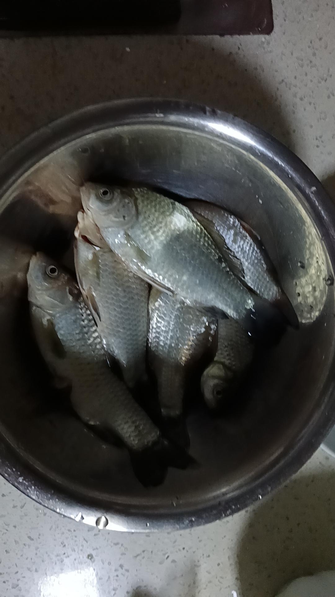 钓鱼的乐趣在于什么去的时候信心满满，钓的时候没口就是鱼钓不到无所谓。钓到了就是技