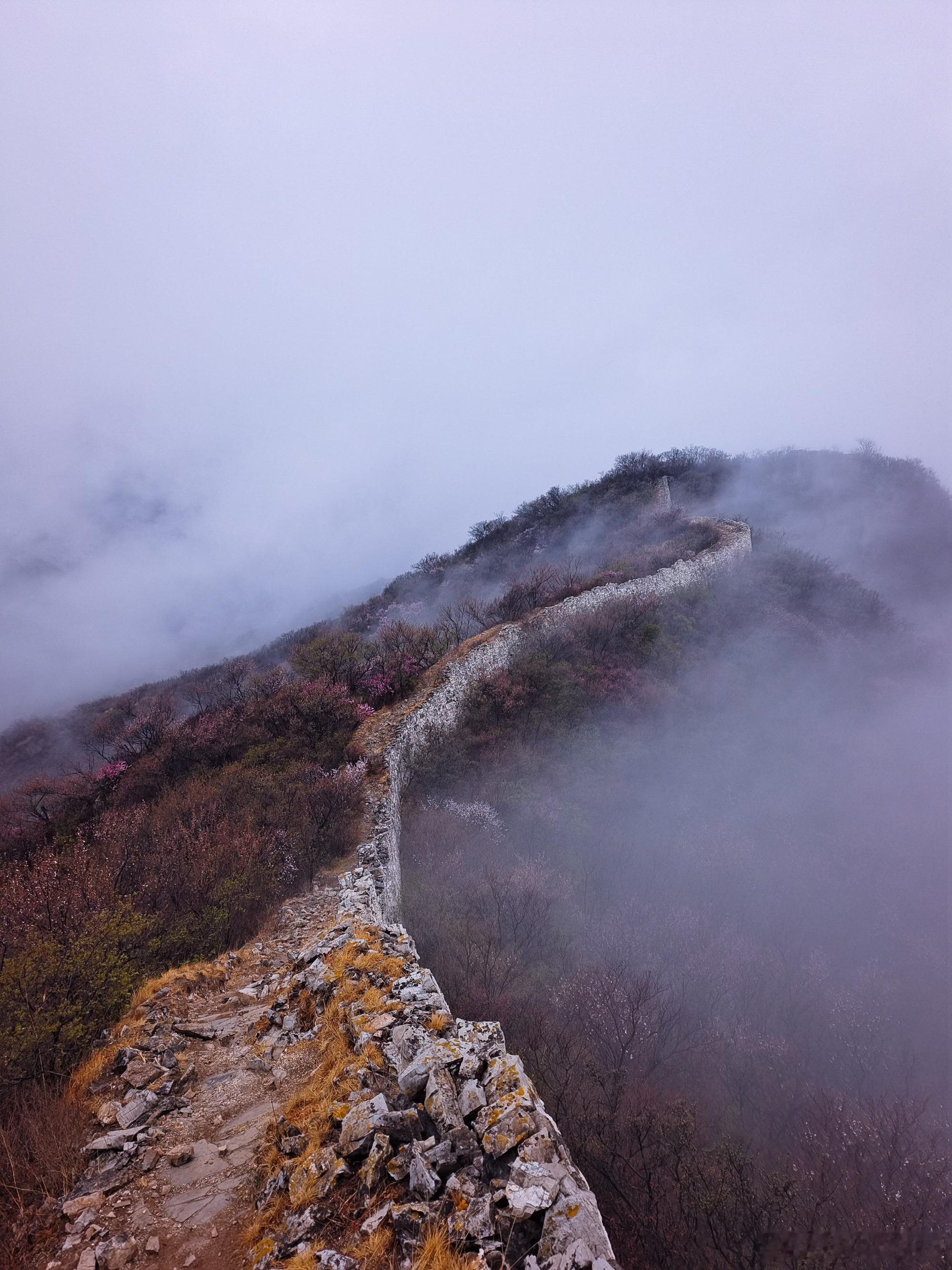 寻找春天最美长城，花海中邂逅云海，雨中徒步北京石峡关长城（也称陈家堡）–罗锅长城