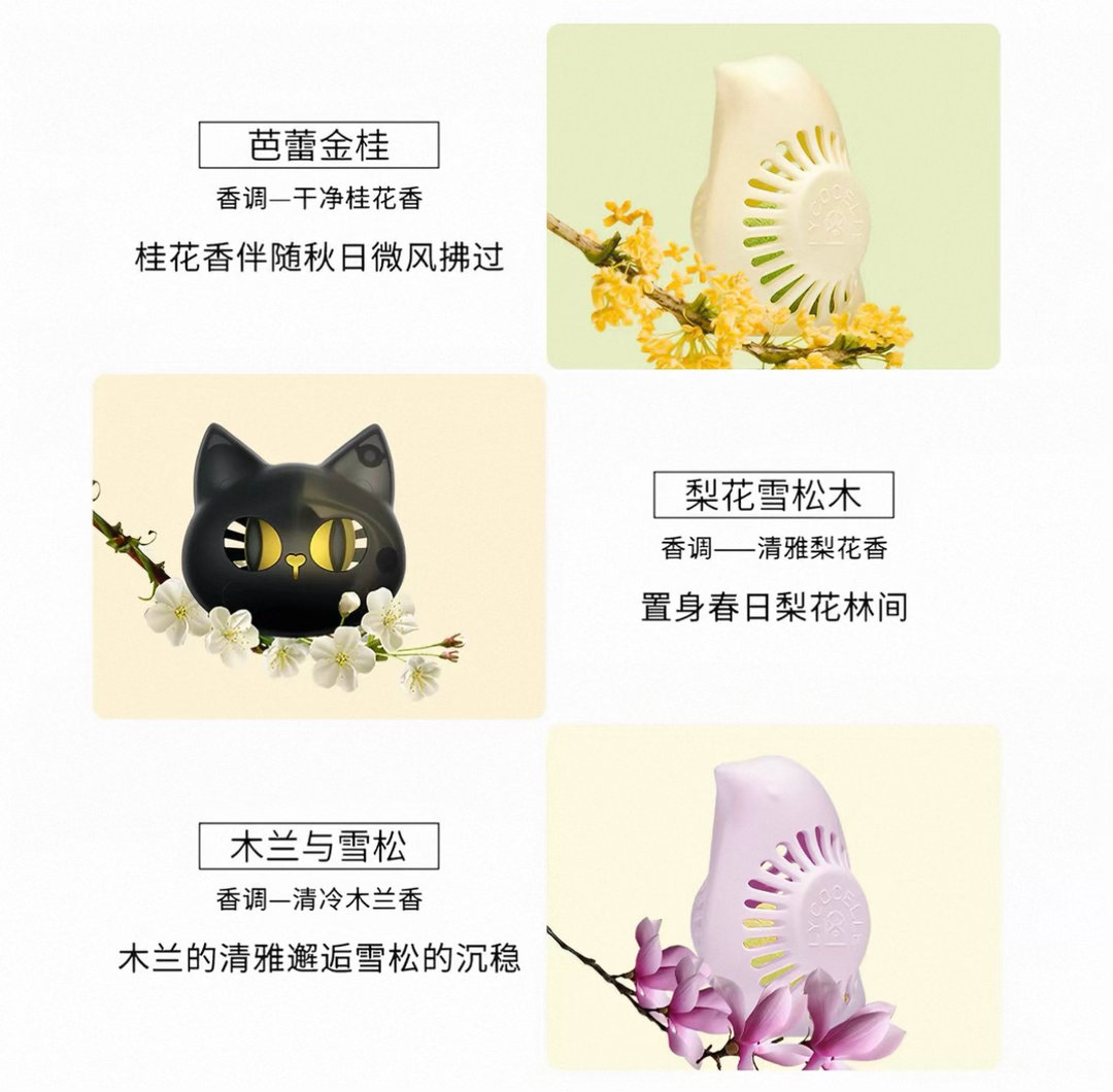 绽家和洁玉可可爱爱的小物品，逛逛买买的周末，小快乐轻松get成毅绽家首位品牌全球