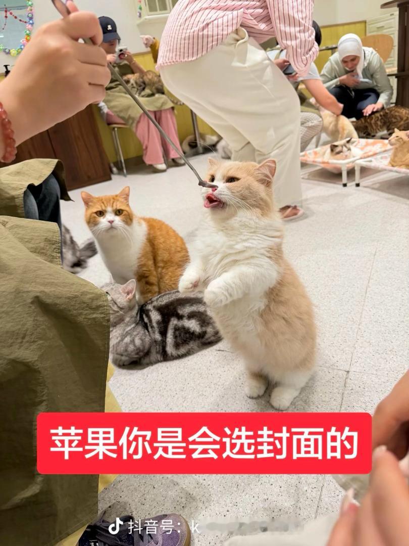 分享图片 