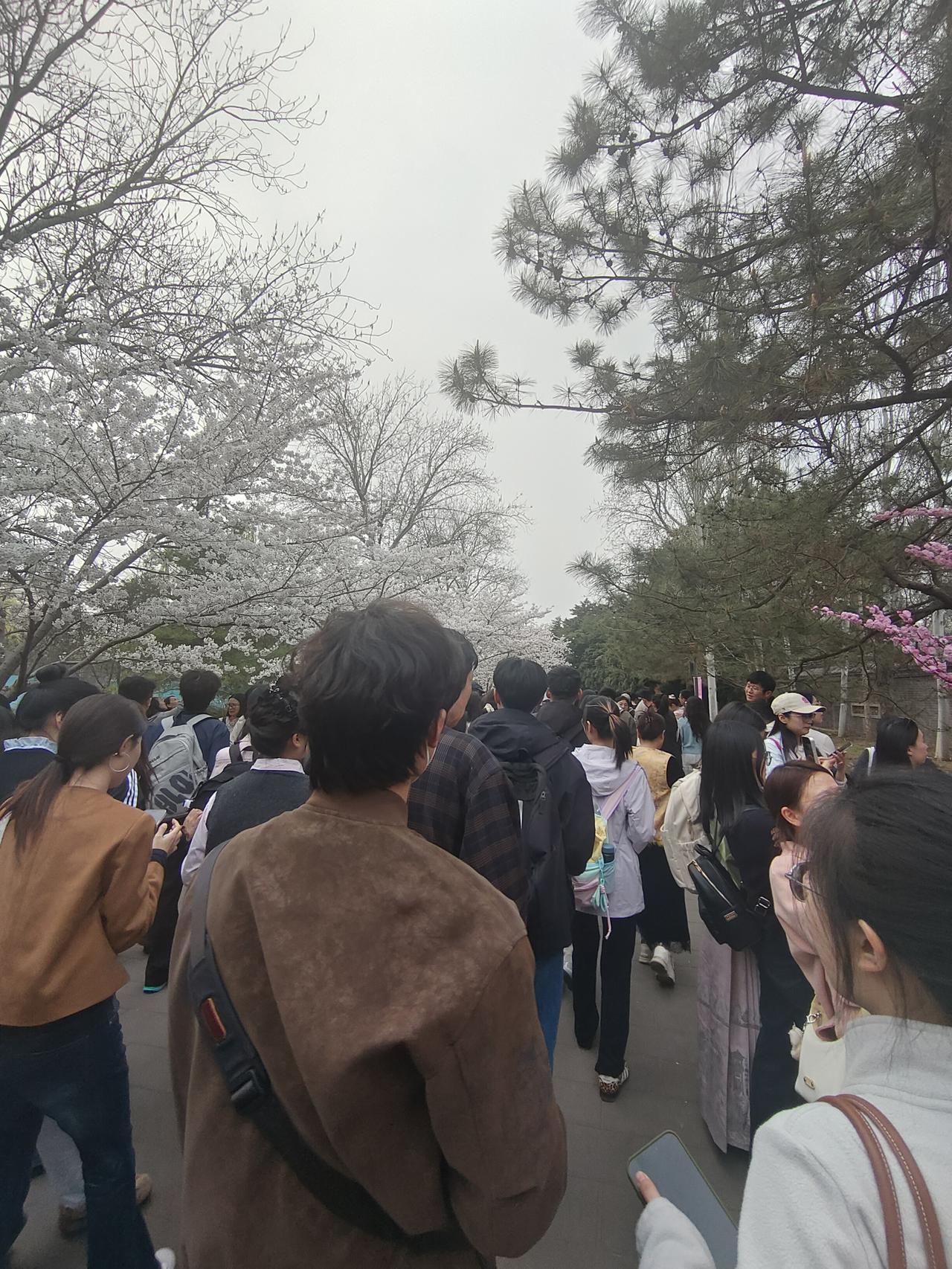 原生家庭的拉扯，是半生解不开的心结
 
很多人一生都在等父母一句认可，到头来只剩